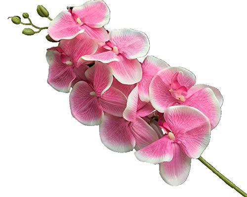 Orchidée papillon orange à 8 têtes florales pour centre de table - 4