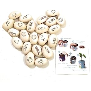 J&J Paquete de 20 Semillas Magic Bean Magic Beans Idea de Regalo Evento recurrente Idea de curiosidad Regalo para el hogar Bingo Fiesta de Navidad en el Amor Mensaje Especial