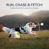 ALL FOR PAWS Automatic Dog Ball Launcher with 6PCS 2.5in EPTU Balls, Ball Thrower for Medium to Large Dogs, Interactive Dog Fetch Toy for Mental & Physical Exercise, Launches Up to 64ft - Image 6