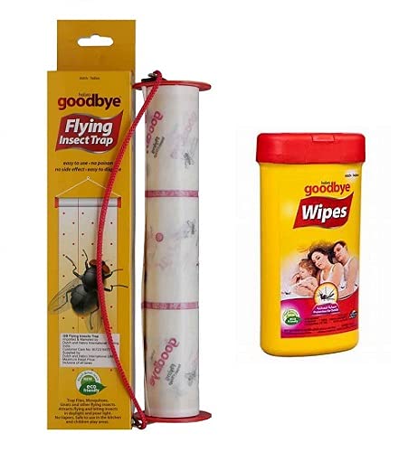 DDSS Dutch and Habro Goodbye Flying Insect Trap (1pc) + Mosquito Wipes (1pc) Effective and Powerful Safe Fly Catcher (Combo) (B096LFPNWY) Amazon Price History, Amazon Price Tracker