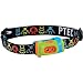 Princeton Tec Bot Headlamp (15 Lumens, Lime)