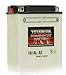 TYTANEUM YB16L-BFP TYTANEUM PS BATTERY YB16L-B, W/ACID