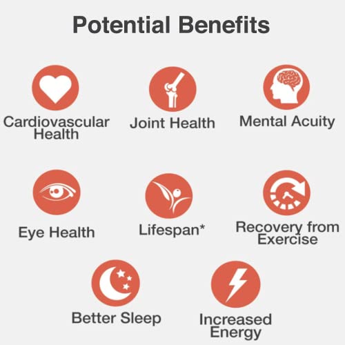 Myvitalc Organic Extra Virgin Olive Oil - Pure Ess60 Antioxidant Supplement - For Anti-Aging, Oxidation, Longevity, Sleep, More Energy - 120Ml #TOP3