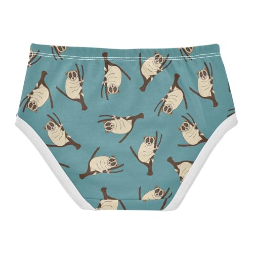 Little Girl Underwear Toddler Panties Kids Undies Lemur Soft Cotton Briefs 2T-8Y2