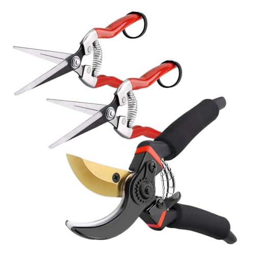 QUXVUIS 3 s[XmXbvlԍHwɊÂ͂ݏȒ̐`poJnhwhA~