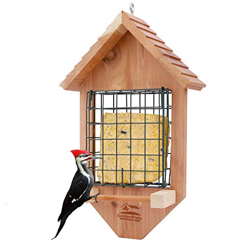 Solution4Patio USA Cedar Tail Prop Suet Bird Feeder with One Perch, Clasp Suet Cage for Squirrel...