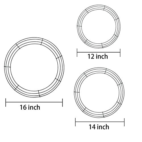 Bbto 3 Pack Green Wire Wreath Frame Christmas Holiday New Year Metal Wire Ring Valentines Decorations For Floral Arrangements (16 Inch, 14 Inch, 12 Inch) #TOP1