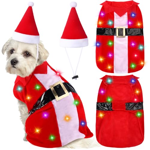 Dog Christmas Costumes with Colored Lights and Christmas Hat Sant...