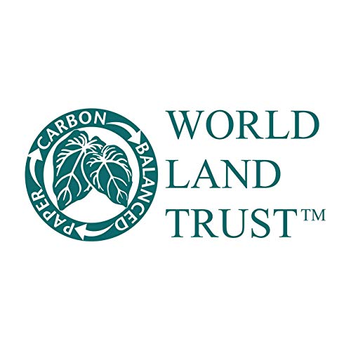 Cherry Carbonless NCR Cash Receipt Book | 50 Duplicate Sets | 8.3" x 3.9" | Perforated Top Copy | Bound with Tape | Carbon Balanced Paper