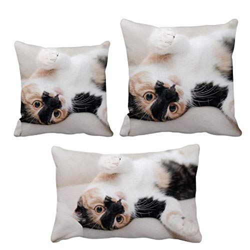 Coussin pour canapé chat et rayures : set de coussins déco salon