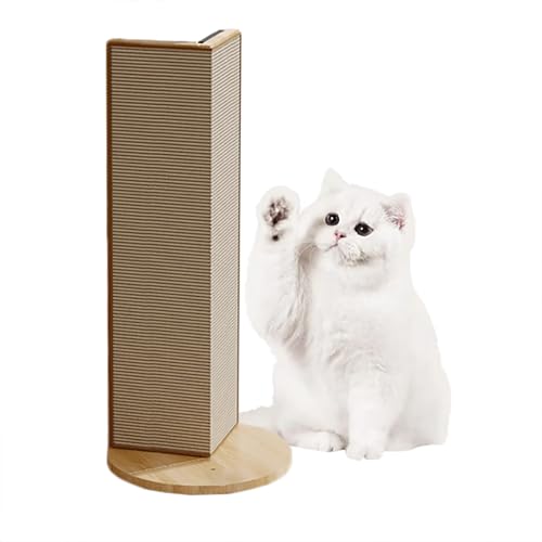 L ܌  L  lV c^ LJxnEX {[h V[g, ߂Ƃ L  VR ϖ JXoȂ ܌ L R[i[ ߂Ƃ|[ vŒ \t@ ی lR ܂Ƃ LObY (R[i[^TCULp܂Ƃ{[h)