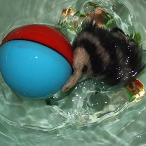 Juguetes para gatos y cachorros balones eléctricos con batería y motor plástico ligero 5