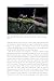 Pine Marten: The Secret Life of Martes martes