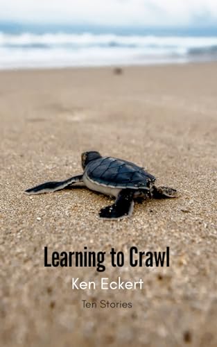Learning to Crawl view 2