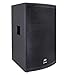 Peavey SP 2 1000-Watt 2-Way PA Speaker