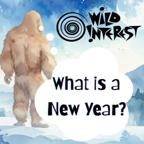 What is a New Year?