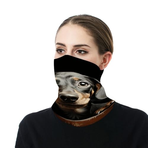 Balaclava Neck Gaiter Pad Dachshund para hombres y mujeres protección solar máscara facial enfriante transpirable bufanda pañuelo banda para la cabeza para esquí y senderismo miniatura 8