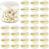 200 Pcs Natural White Cowrie Shells Bulk - 16-18mm No Holes Whole Seashells for Jewelry Making, Wedding Decor, Crafts, Beach Party Supplies (Small Cowrie Shell Beads, DIY Accessories)