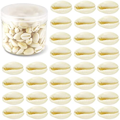 WEOXPR 200 Pcs Natural White Cowrie Shells No Holes
