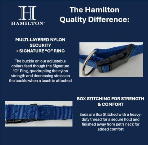 Hamilton Adjustable Waterproof Dog Collar, Orange Camouflage, 5/8\" Wide, Small/Medium