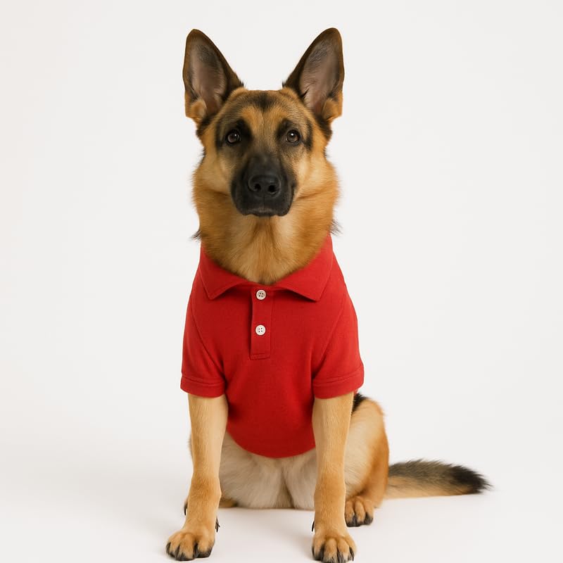 Image of Thunder Tails Premium Cotton Polo Dog T-Shirt | for Large Dogs | Red | 4XL | for Lean Labrador, Golden Retriever, German Shepherd, Rottweiler, Husky & Chow Chow