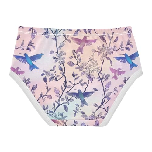 ZZKKO Hummingbird Tree Branches Girls Underwear Toddler Panties for Girls Comfort Brief Size 2-8T2