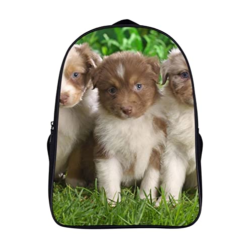 Sac à dos design Australian Shepherd Classic avec grand compartiment de mode
