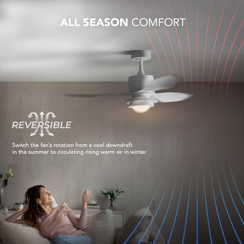 Smart Ceiling Fan with Voice Control