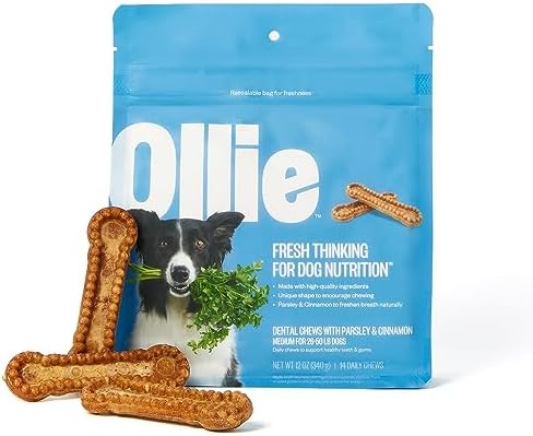 Ollie Dental Chews for Dogs Medium -Dog Breath Treats – Dog Teeth Cleaning Treat – Dental Sticks for Dogs – Fresh Breath for Dogs – Dental Treats for Dogs -Dog Dental Care – 12 Oz.