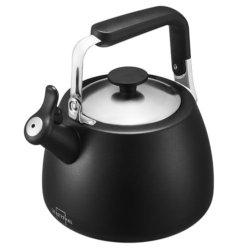 SILBERTHAL Hervidor de Agua 2,8L Negra