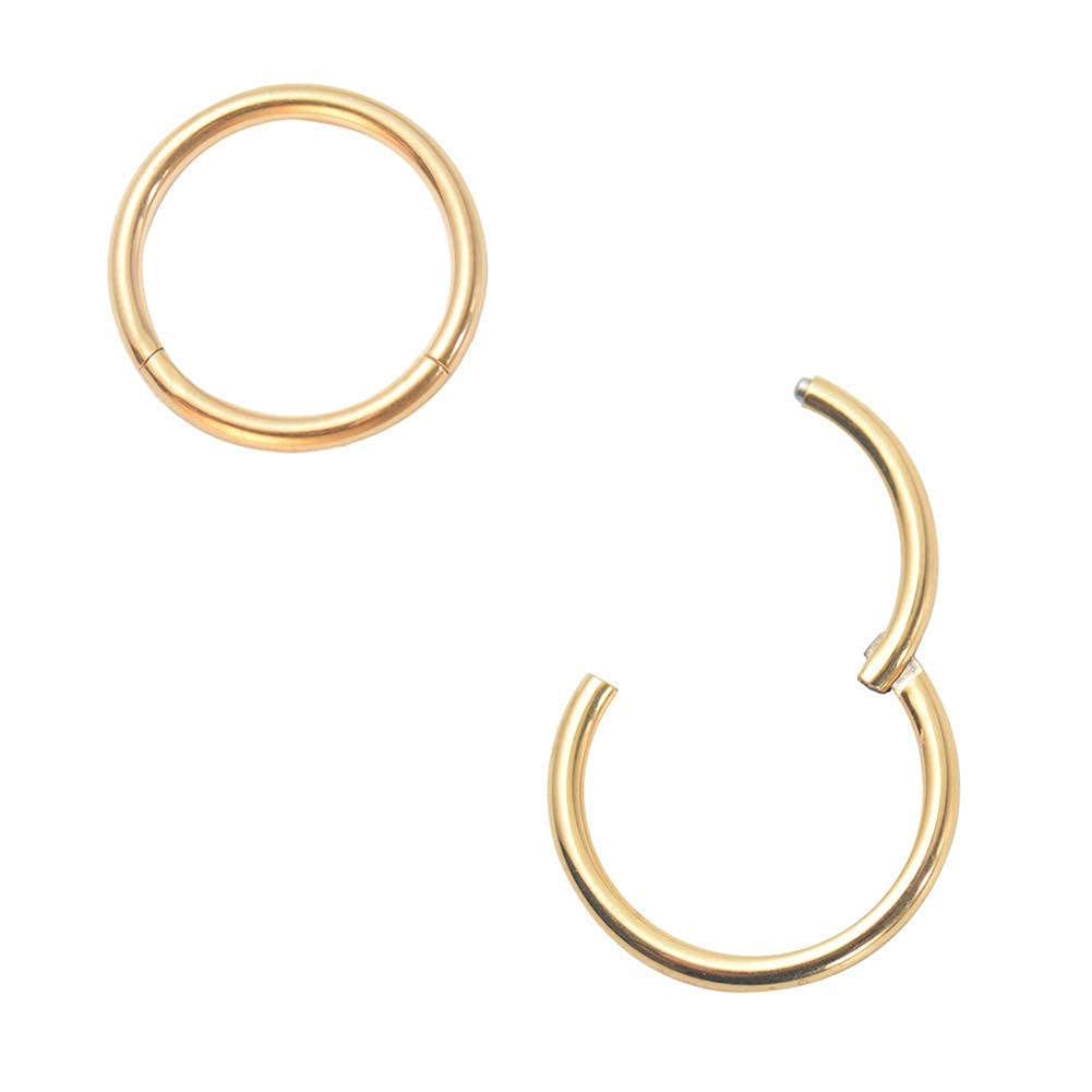 Afftiny Nose Ring Septum Hoop 20G/18G/16G/14G/12G 316L Surgical Stainless Steel Hinged Seamless Earrings, Diameter 5MM-16MM, Gold/Silver/Black/Rose Gold/Rainbow Color — view 17
