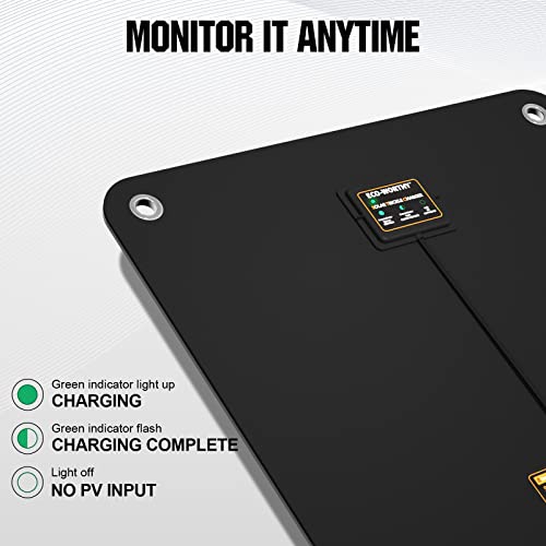 ECO-WORTHY 10W 12V Caricatore Caricabatterie