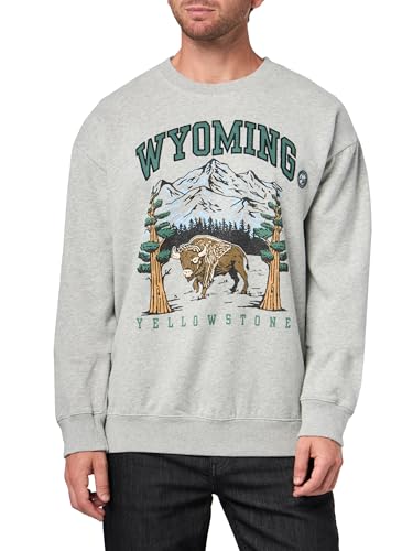 Aropostale Wyoming Crew Sweatshirt LIGHT HEATHER GREY M