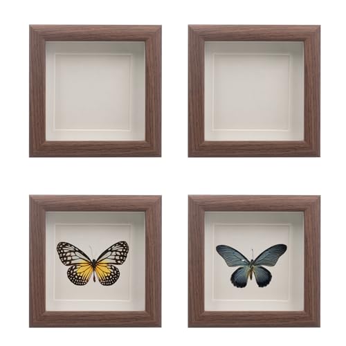 4 PCS Butterfly Display Case Shadow Box Frame, Insect Display Case Wood Specimen Showcase Insect Specimen Storage Box for Bug Butterfly Insect Collection Display, 4.7 x 4.7 Inch