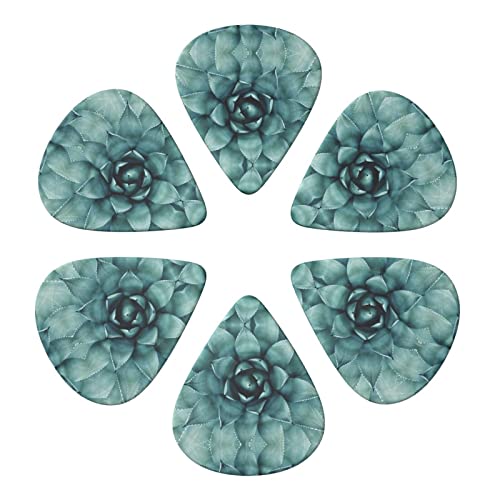 Succulent Plant Lot de 6 médiators pour guitare acoustique, guitare électrique, basse, ukulélé – fin, moyen et épais. - Les Beatles, Paul McCartney, John Lennon, RIngo Starr, George Harrison Succulent Plant Lot de 6 médiators pour guitare acoustique, guitare électrique, basse, ukulélé – fin, moyen et épais. – Image 5