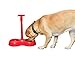 ARAD No More Bending Dual Pet Bowl - Perfect Food Station for Those with Limited Mobility - No More Bending or Kneeling When it's Time to Feed Your Beloved Furry Best Friend (Red) by