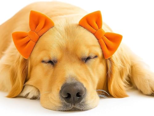 Dog Hair Bows, 3 Pack