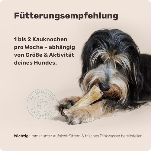 5-in-1 Entspannungs-Kauknochen - Relax Bone+ 1x Kauartikel (12cm) von mammaly - Kaustange aus Rinderhaut mit Kamille & Lavendel u. v. m. zur Beruhigung - Kauspielzeug / -Knochen als Beruhigungsmittel