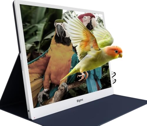 Image of Bigme B13 Portable Display Screen 13.3 Inch Color E-Ink Computer Screen for Laptop Screen Extender, Plug& Play, Color Display Extender with Touchscreen FHD 3200x2400 Display