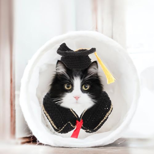 Disfraz de Graduación para Perros Pequeños Talla M miniatura 5