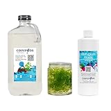 Copepods For Sale Refugium Starter Kit: 1 Cup Chaeto, 32oz 5-Species Pods & 16oz Refugium Roids