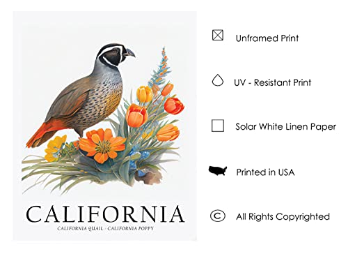 California State Bird And Flower Art Print, California Poster Wall Art Decor, California State Map Travel Poster, Home Office Wall Decoration, Bedroom, Living Room Artwork. (California J, 11X14 Inches (Unframed)) #TOP1