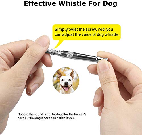 Training tips with Adjustable Dog Whistle