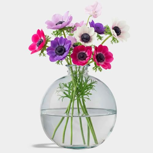 10 Stunning Recycled Glass Vases That Elevate Any Home Decor 2 Couronne Recycled Glass Vase (6.75 Inches Tall)