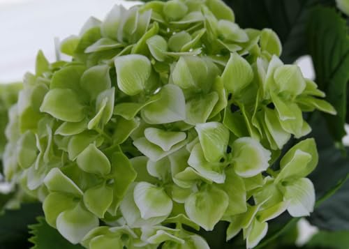 Hortensia artificiel Mendler 90x50cm vert en polyéthylène - 6