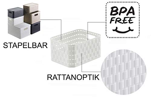 Rotho Country 3er-Set Aufbewahrungskiste 2l in Rattan-Optik