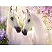 MXJSUA Kit de Broderie Diamant 5D à Faire soi-même, Peinture par numéro, Motif Chevaux Blancs, avec Strass en Cristal, au Point de Croix, Toile, décoration Murale 30 * 40 cm