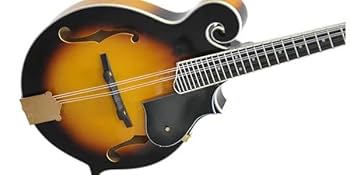 【Fender】 エレクトリック フラットマンドリン 31HEyGpdzML.jpg