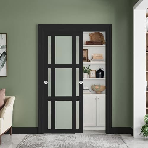 SMARTSTANDARD Sliding Closet Door 48x80(Double 25) Inch, Bypass Frosted Glass 3-Lite,Hardware Kit with Handles Included, Preassembled MDF with PVC Panels for Easy Install, Black