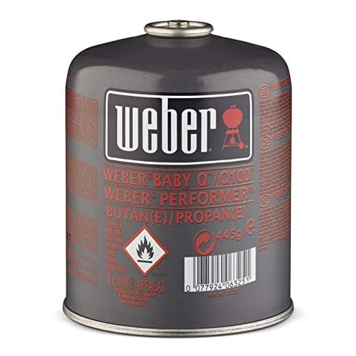Weber® Gas-Kartusche